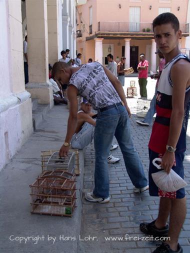 2004 Cuba, Havanna, DSC00448 B_B720